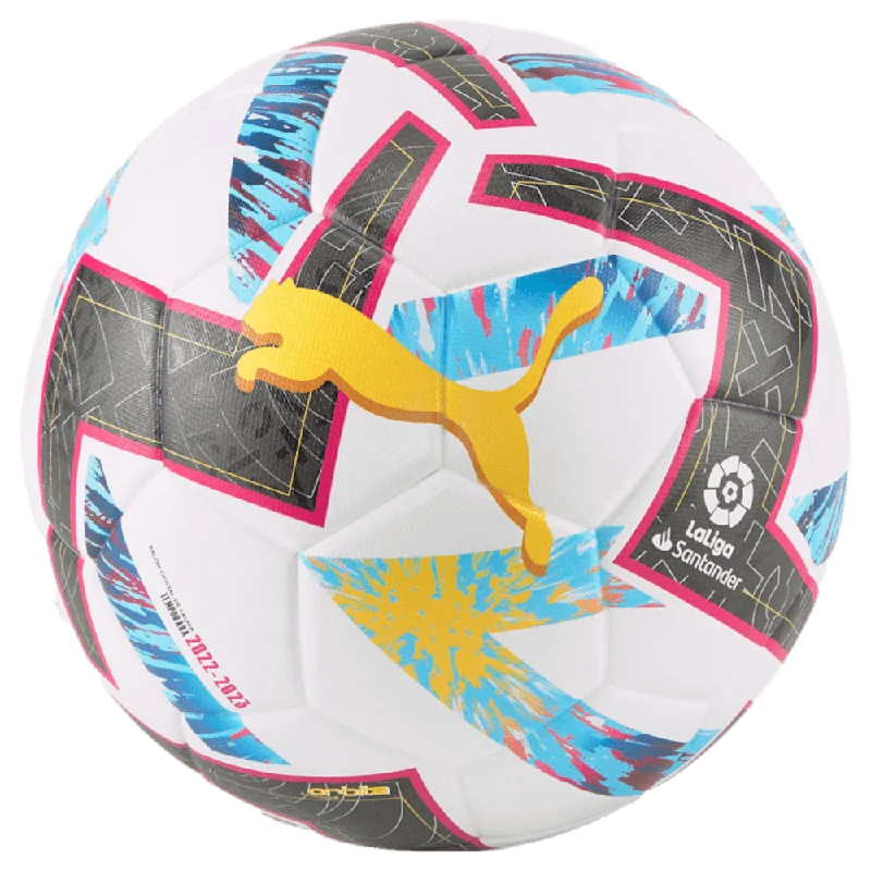 Football For Winter Fields-Puma Orbita La Liga 1 Training Ball